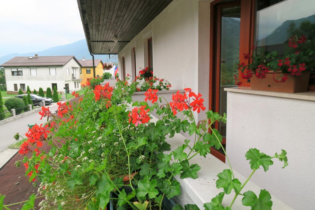 Budget Homestay Kobarid Exteriér fotografie