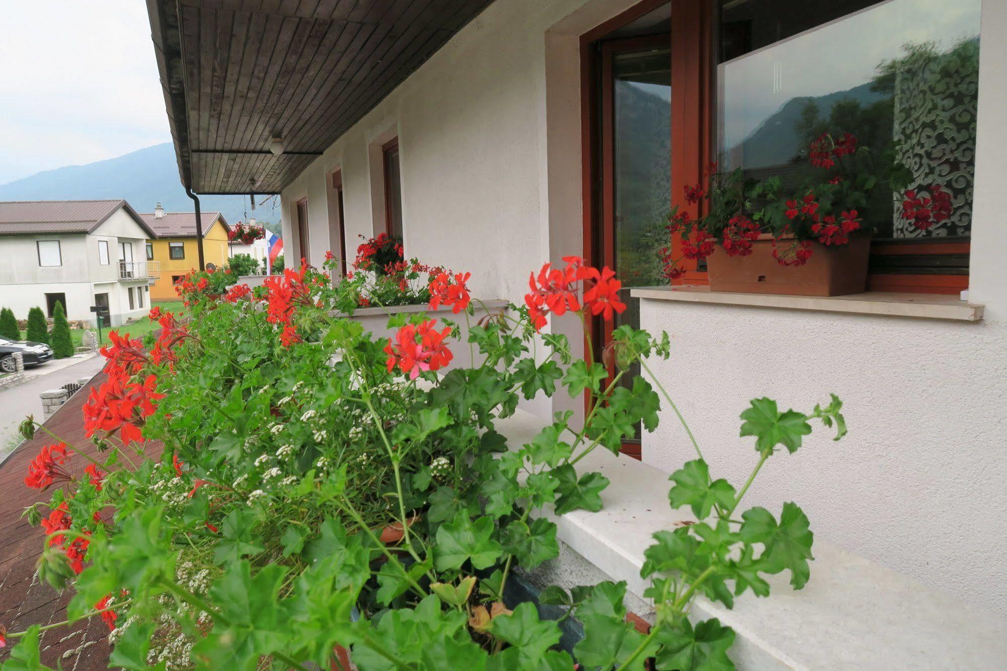 Budget Homestay Kobarid Exteriér fotografie